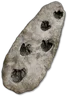 legendary_pauluxy_dino_tracks · client UI reference artwork