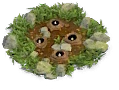 Trap_SpikePit_1 · 客户端静态参考图